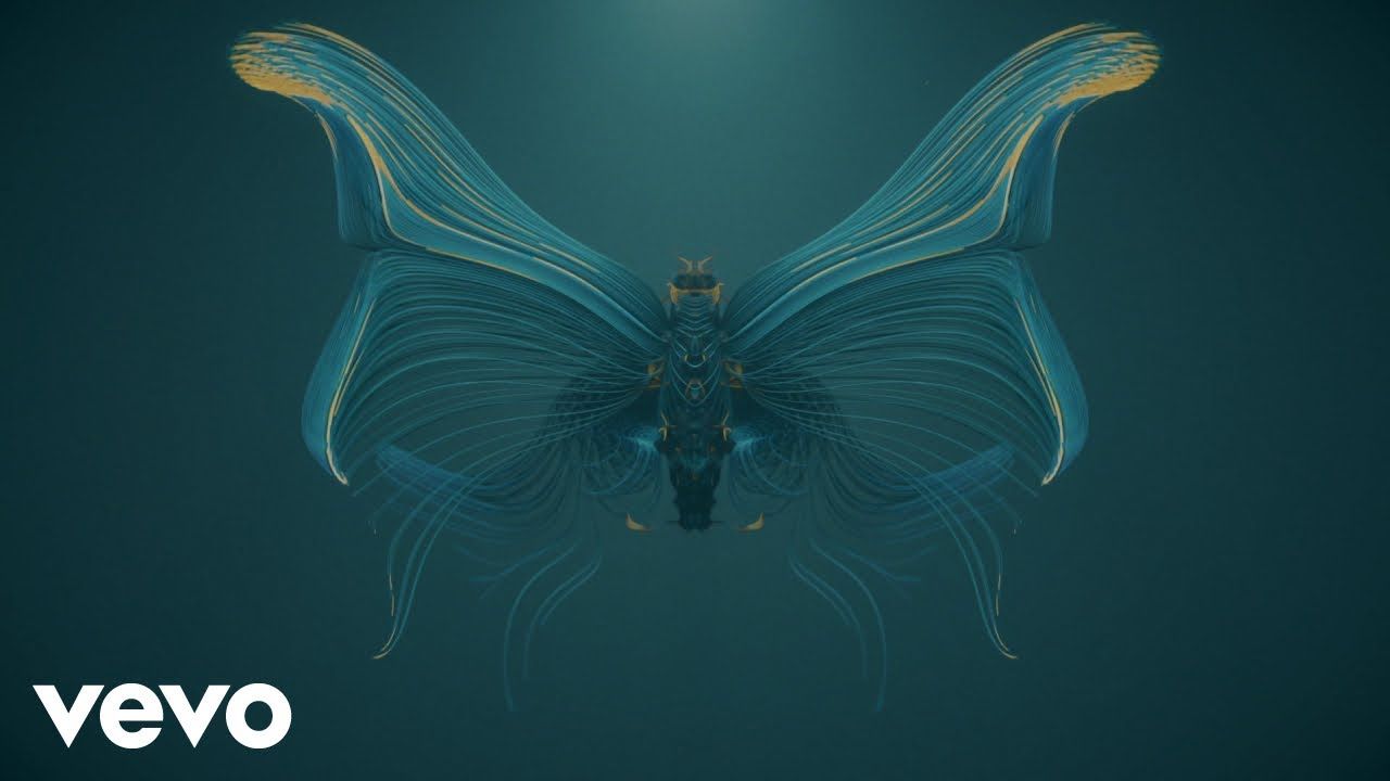Ludovico Einaudi – Fly (Visualizer)